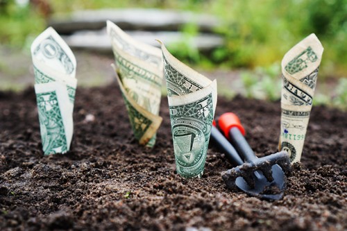 Vermogen groeit niet door bankbiljetten in de grond te planten