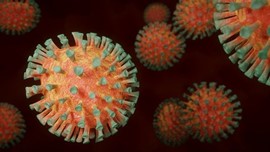 Corona virus 2020