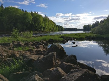 Natuurschoon in Zweden